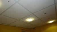 Showing new suspended ceiling, lights and PIR's to control the lights and flushes.